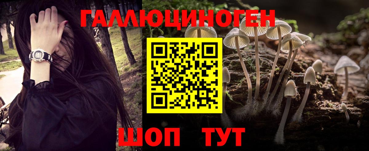 Псилоцибиновые грибы Magic Shrooms Петропавловск-Камчатский